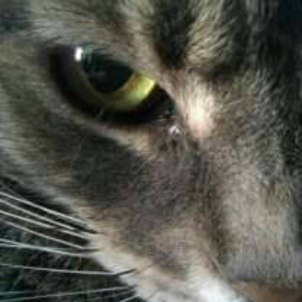 Meet your Posher, Dj